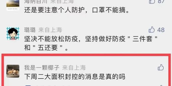 上海辟谣最新消息,自信与成长旋律在浦江之畔奏响壮丽篇章