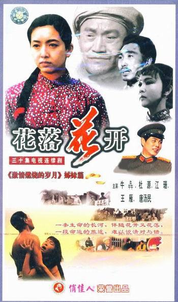 最新网落花电影,领略独特视听盛宴!