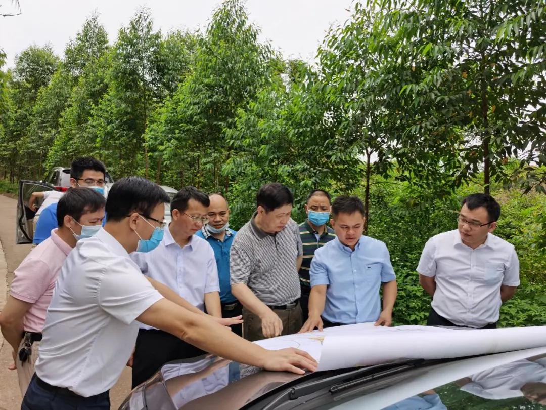 南宁龙象谷最新资讯，游玩指南与技能学习步骤全解析
