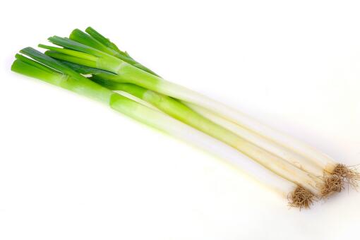 保定大葱近期价格走势,机遇与挑战中的励志力量