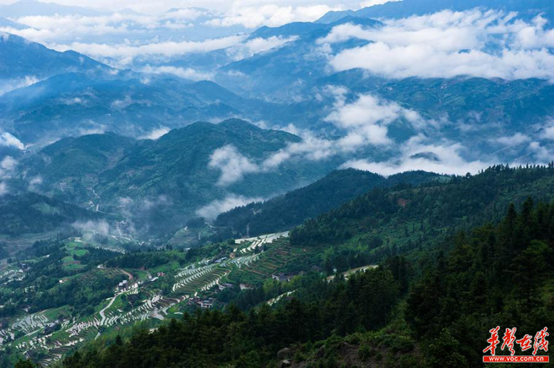 雪峰山资讯，一段温馨有趣的探索之旅