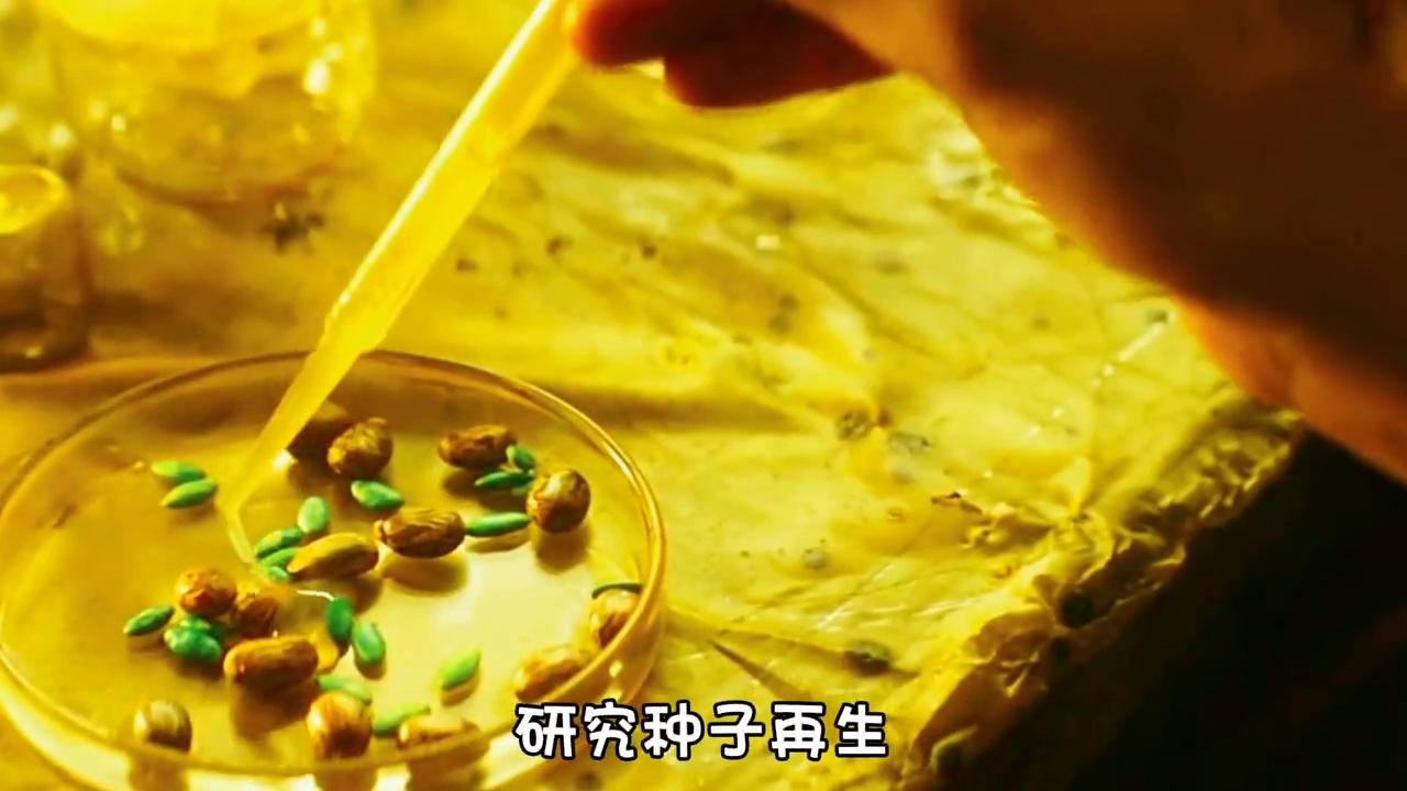 热门电影推荐,必看的银幕佳作