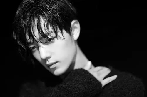 怎么追到明星,追星的梦想,如何追到明星的深入思考