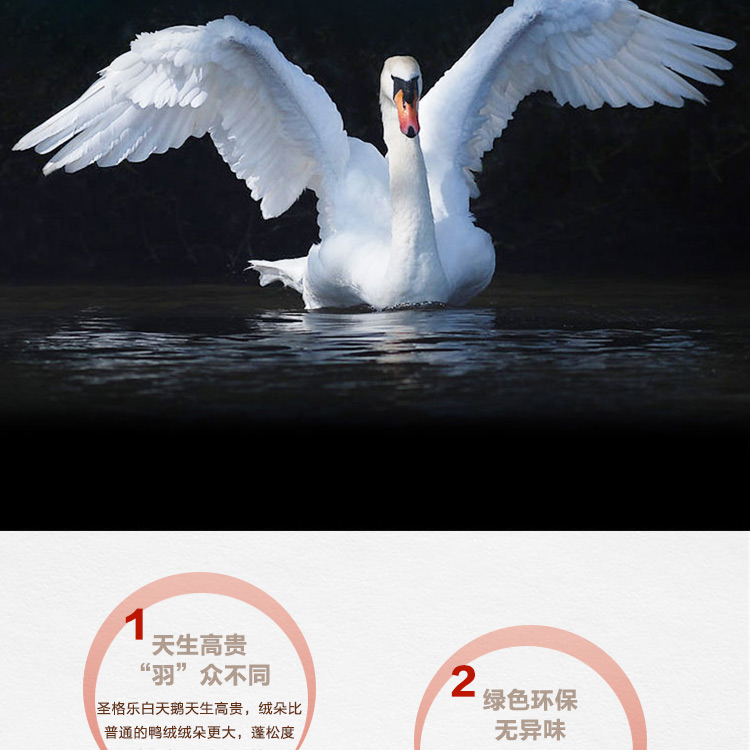 探索小巷羽绒宝藏，90白鹅绒价格与温暖故事