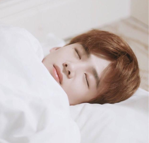 郑爽与白敬亭的最新动态曝光!