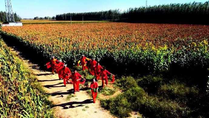 红高粱电视剧演员,🌟红高粱电视剧演员✨星光熠熠的传奇人生