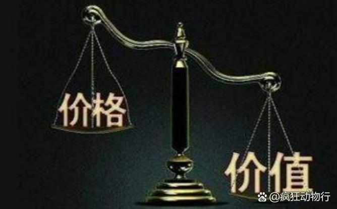 价格与价值解析，差异何在？