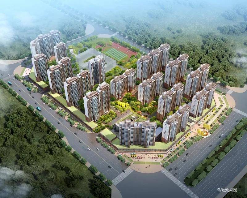 河源叶振云最新动态揭秘