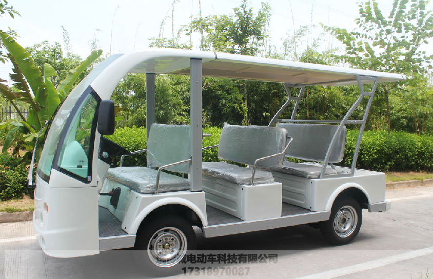 观光车价格及图片解析,市场现状深度剖析与购买指南