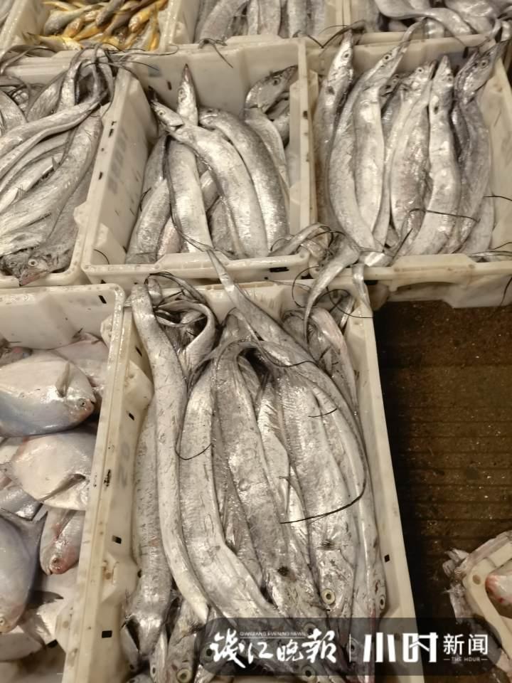 带鱼行情,一场海鲜盛宴的温馨之旅