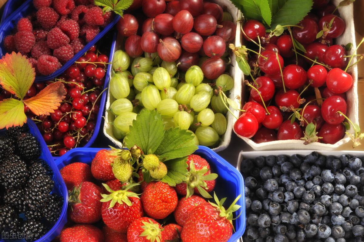 带鱼行情,一场海鲜盛宴的温馨之旅