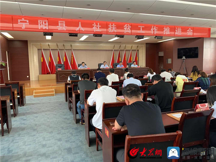 宁阳网最新资讯，城市中的温情日常