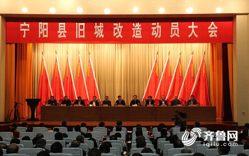 宁阳网最新资讯,城市中的温情日常