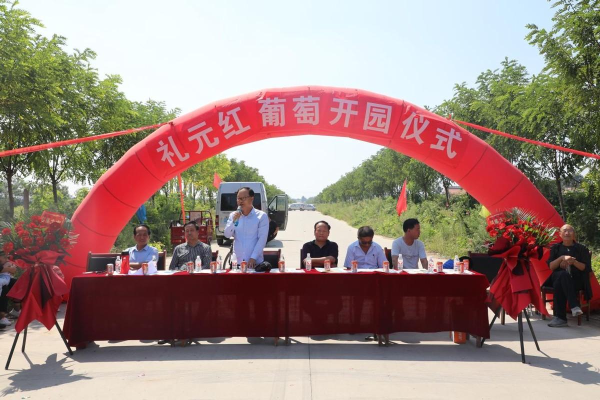 未来五年葡萄种植行情展望与趋势分析