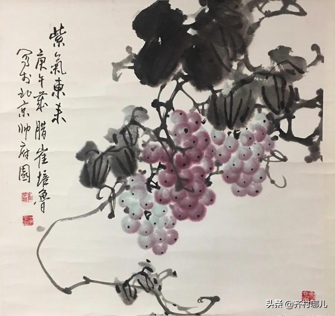 未来五年葡萄种植行情展望与趋势分析