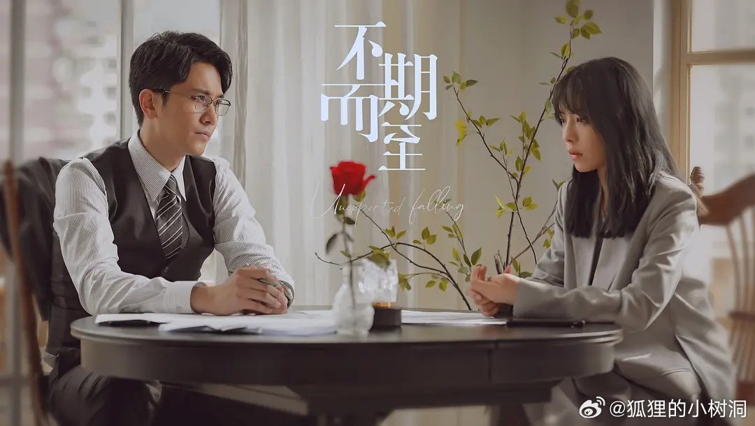 不期而至电视剧，从入门到进阶的观看指南