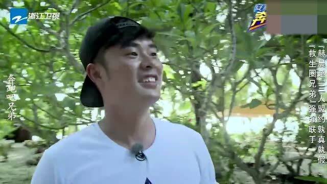 明星发脾气背后的故事与深层理解