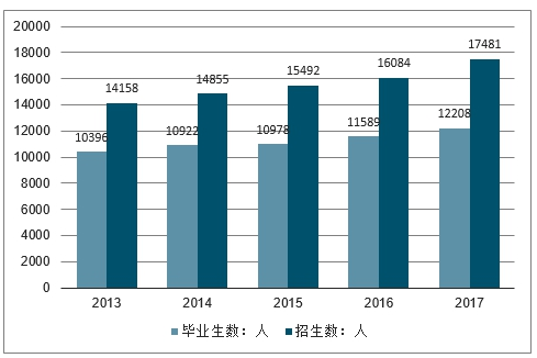 市场趋势深度解读及策略建议探讨