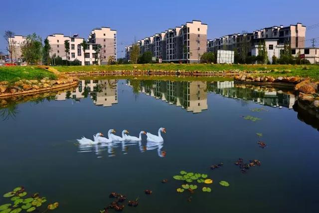 萍乡安源湖，最新动态揭示湖畔变革与自我超越之旅
