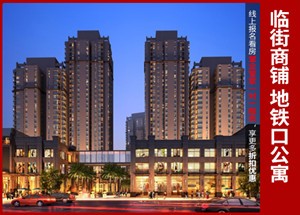 咸阳光明城价格揭秘,背后的温情故事与真实价值