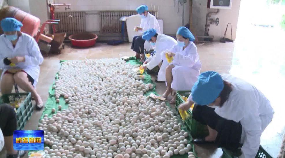 最新养殖场建设政策解读,探索之旅启程