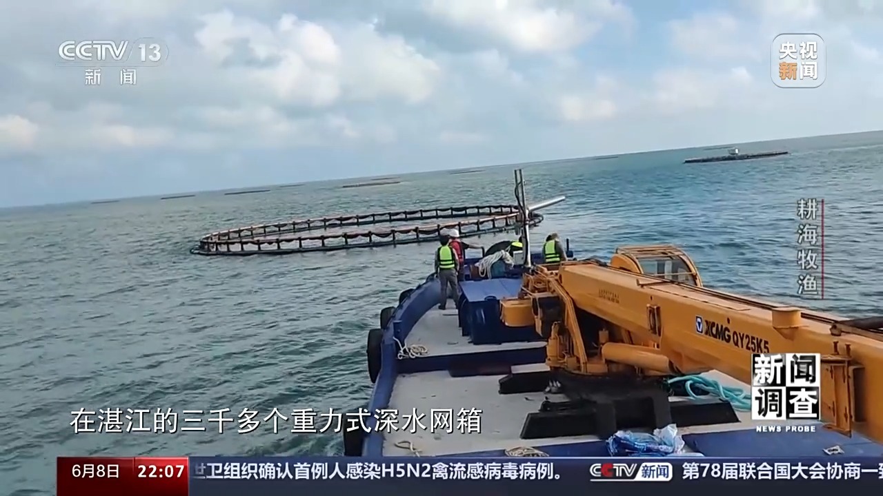 最新海水养殖,最新海水养殖，一种前沿农业技术的观点分析