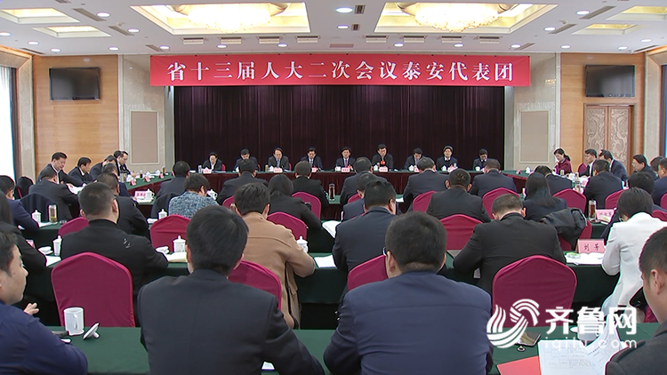 泰安市委最新领导阵容及其影响分析概述