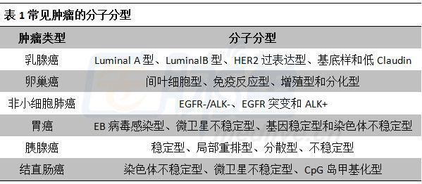 最新乳腺分类科技产品介绍，引领乳腺健康新篇章