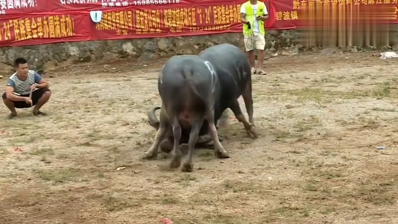 第884页