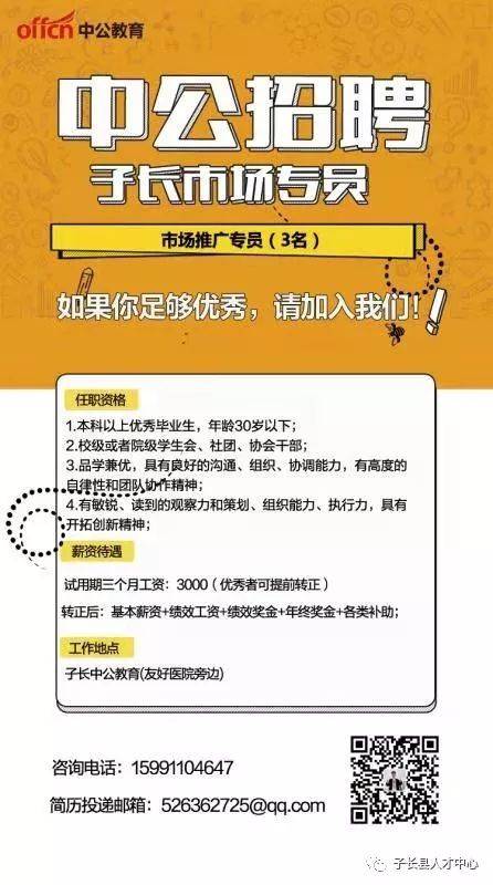 中公最新职位招聘深度解析与观点阐述
