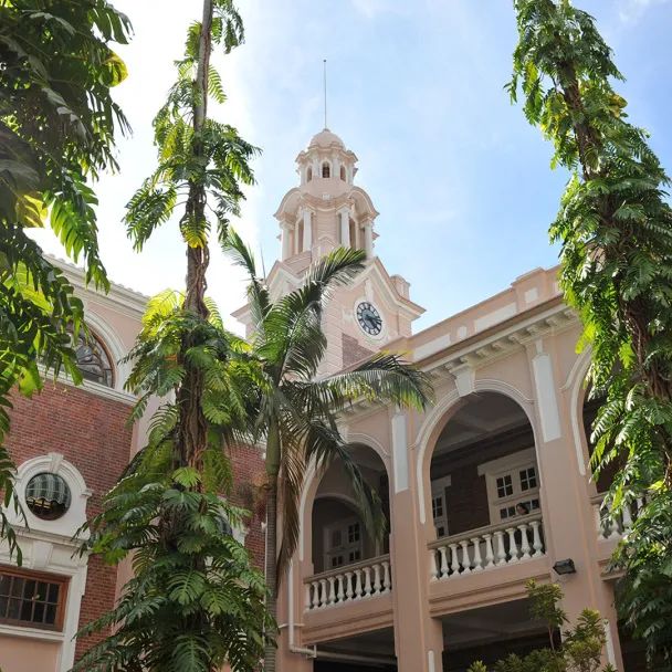 香港学府最新动态,友情与陪伴的温馨日常