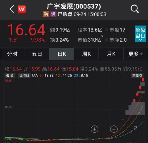 广宇发展股票,乘风破浪,成就梦想的航标之旅