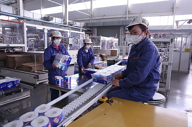 鞍山维达纸业最新招聘,科技引领未来,携手共绘新篇章