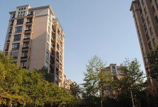 大同文锦西苑最新动态更新