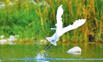 最新鹤壁市淇滨区地图及其获取使用指南(适合初学者与进阶用户)