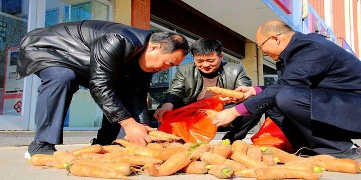 胡萝卜最新市场价格概览,最新市场价格指南