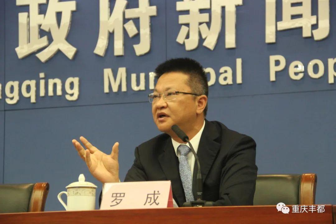 丰都新闻快讯，日常温情与陪伴的瞬间