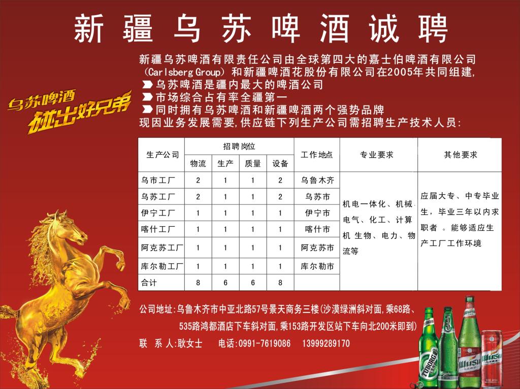 乌苏政府最新招聘公告，应聘指南全解析