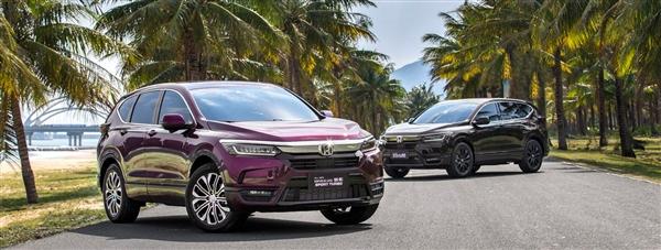 揭秘上市公司订单背后的秘密,小巷独特小店的独特故事