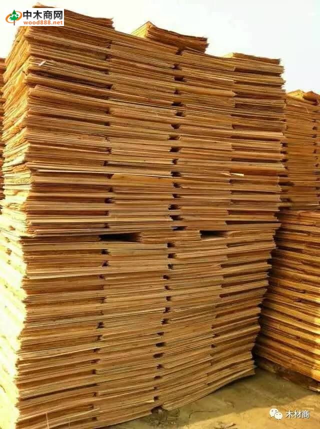 科技革新引领板皮厂行情，开启板材加工新时代