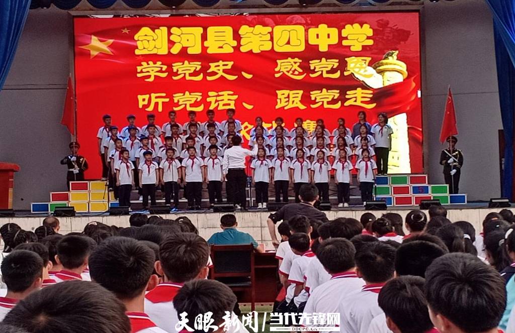 青蛙与狗的泳池挑战，揭秘游泳比赛背后的故事，青蛙梦工厂的秘密探索