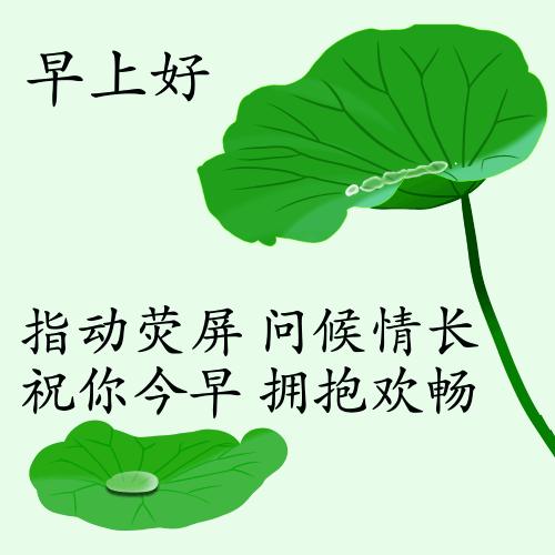 最新疫情动态下的自然探索之旅，追寻内心的平和与宁静