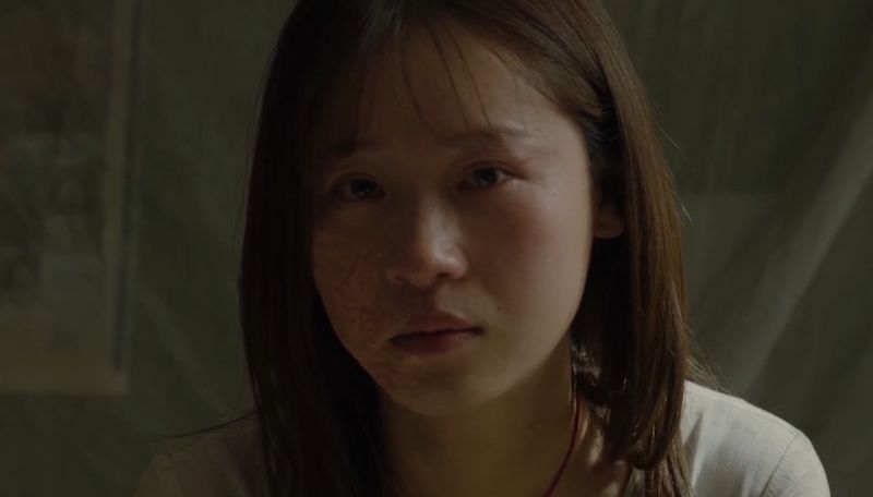 换脸电视剧,心灵与自然的美丽交融