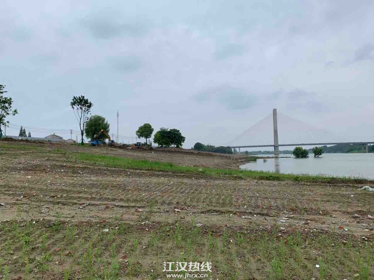 仙桃江滩公园最新动态更新
