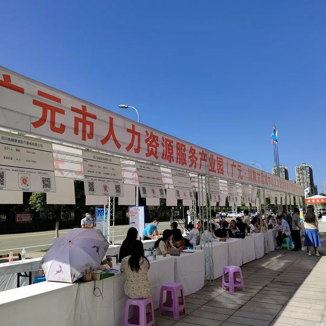 广元最新招聘资讯详解，观点阐述与解析