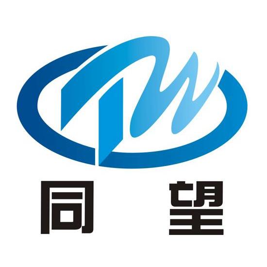 同望最新版深度解析与观点阐述