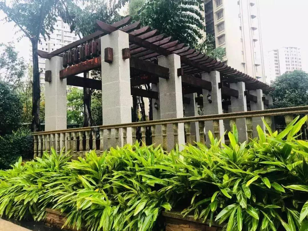阳光江山金岸最新动态揭秘，全面指南与步骤详解