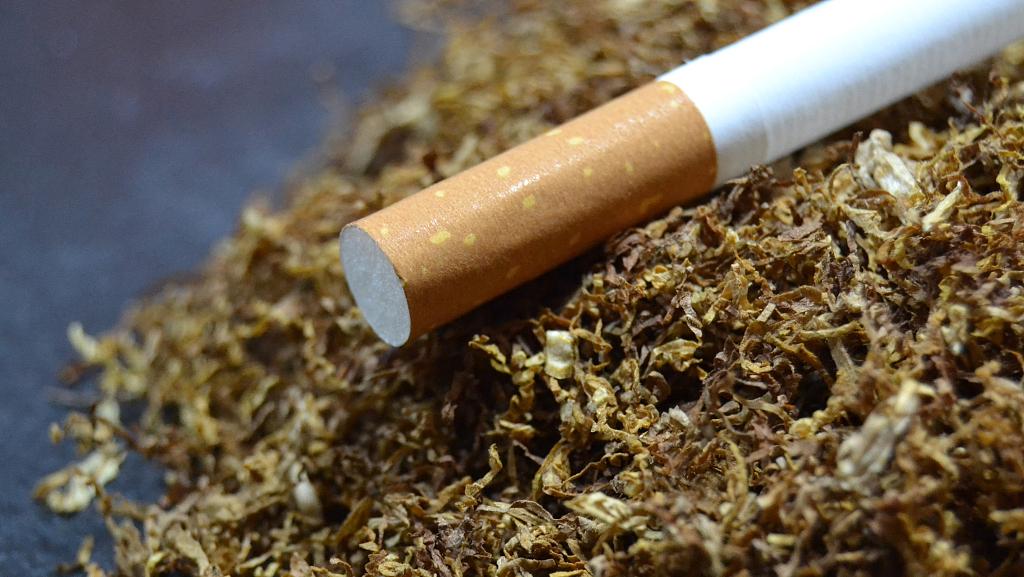 科技重塑烟草行业,开启未来生活新篇章的最新动态