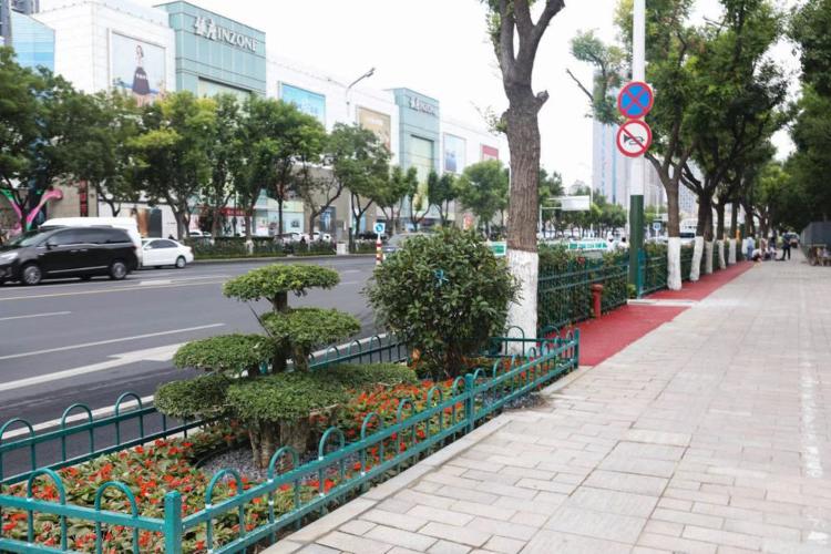 潍坊市奎文区改造工程，自然美景的探索之旅