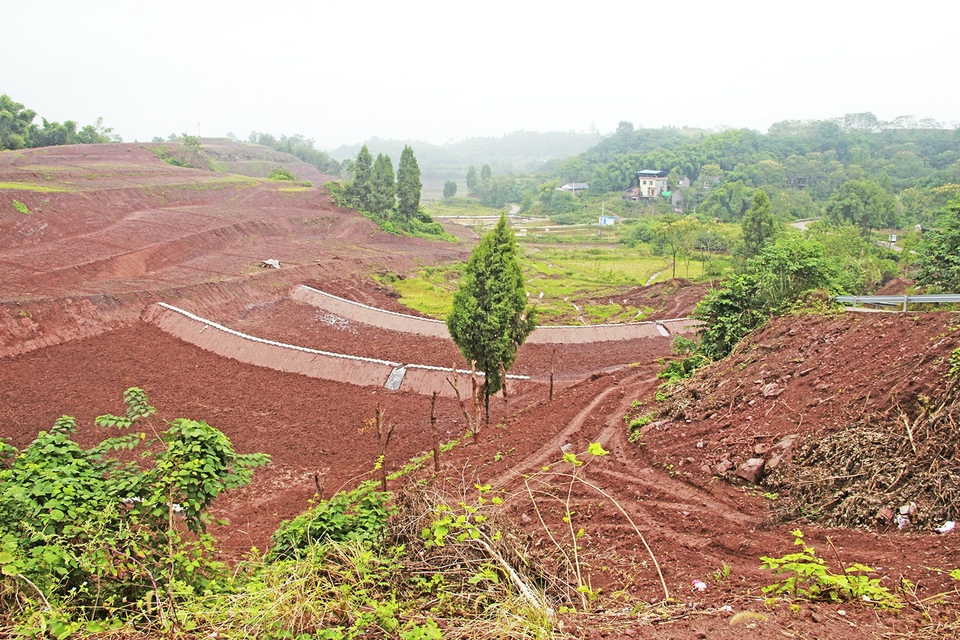 合川土场最新动态更新,今日最新资讯速递